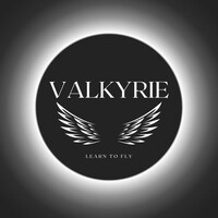 Valkyrie Flight - “Aikido On and Off the Mats”